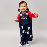 OVERALL