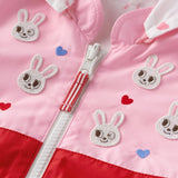 WINDBREAKER113701575