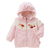 WINDBREAKER113701681