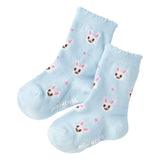 SOCKS SET