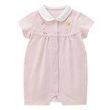 SHORTALL