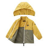 WINDBREAKER603712498
