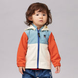 WINDBREAKER603712498